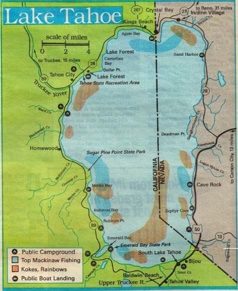 Lake Tahoe Fishing Map Lake Trout Archives - Oregon,California Hunting, Fishing, Pigs, Deer, Boar,  Trout, Ducks, Dove, Turkey, Pheasant, Bass