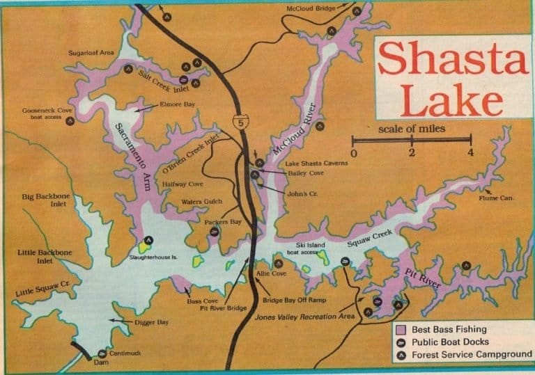 Shasta Lake Fishing Report for Bass, Trout Fishing Map Best Areas 